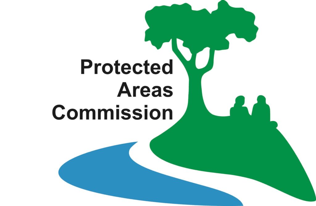 571301000 1239995128173547 6920585284236805974 n